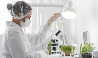 L’intelligence Artificielle la Nouvelle Frontière de la Découverte Médicale